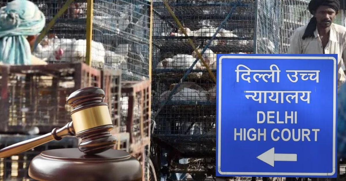 गाजीपुर मुर्गा मंडी में अवैध वध पर सख्त कार्रवाई: दिल्ली हाईकोर्ट ने चेतावनी दी