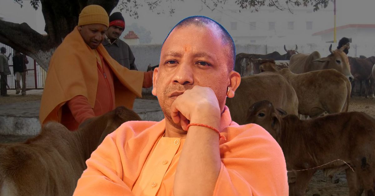 गोरखपुर में सीएम योगी का बड़ा बयान: गोरक्षा, नारी शक्ति और महिला आरक्षण पर खुलकर बोले