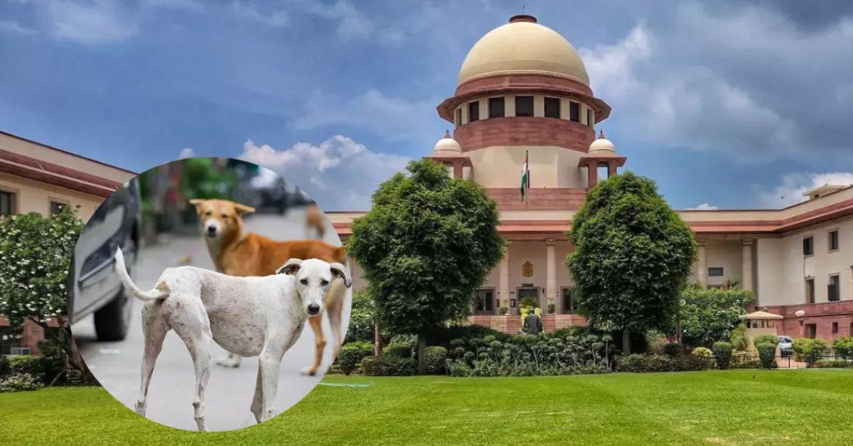  सुप्रीम कोर्ट का बड़ा फैसला: शेल्टर होम में बंद आवारा कुत्तों को तुरंत छोड़ा जाए