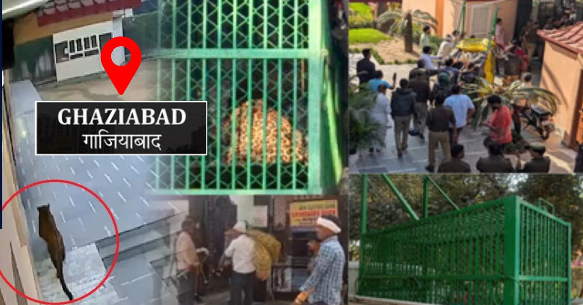 गाजियाबाद स्कूल में घुसा तेंदुआ, 7 घंटे बाद ट्रेंकुलाइजर से पकड़ा गया; 100 से ज्यादा बच्चों की परीक्षा रद्द   