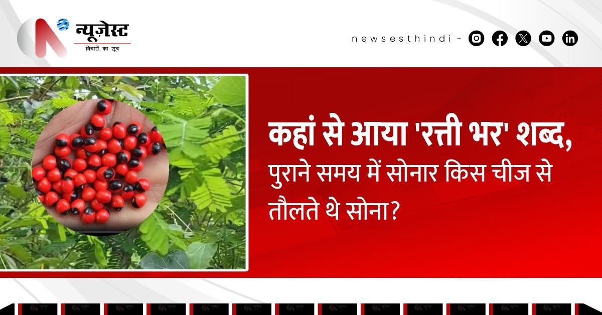 'रत्ती भर भी नहीं…' - ये लाइन कहां से निकली, जानिए इस अनोखे बीज की कहानी…