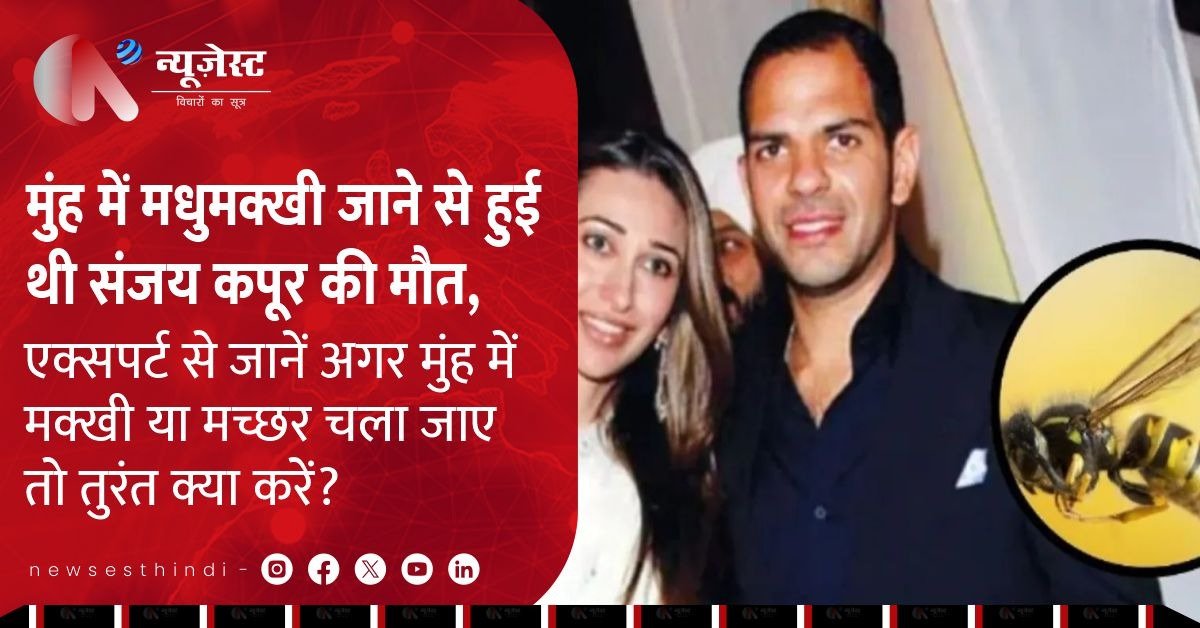 मुंह में मधुमक्खी गयी और बन गयी मौत की वजह, संजय कपूर के दर्दनाक हादसे से सीखें एक्सपर्ट से जरूरी टिप्स