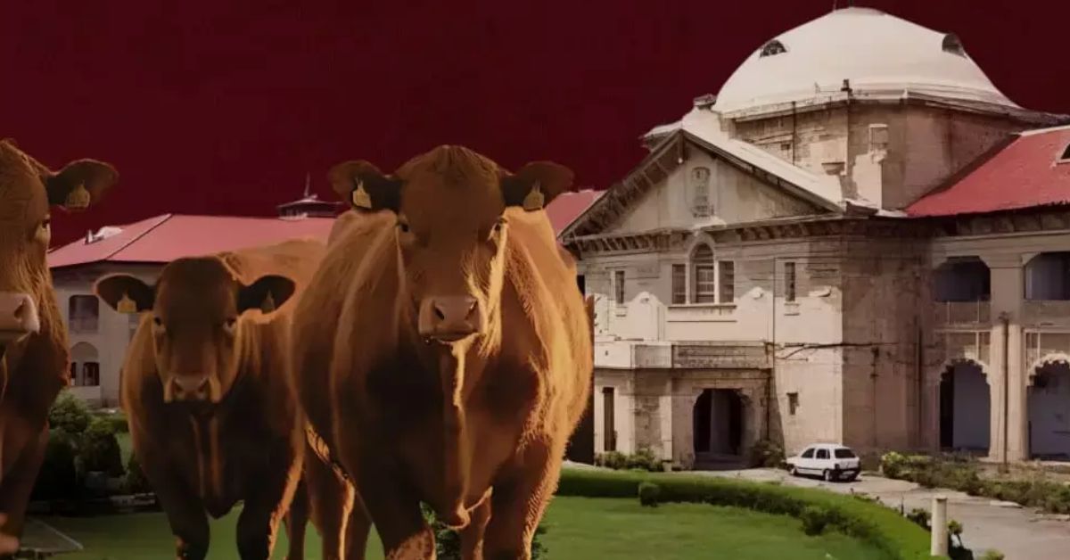 वैज्ञानिक जांच के बिना वाहन जब्त नहीं किया जा सकता, इलाहाबाद हाईकोर्ट ने यूपी सरकार पर लगाया 2 लाख का हर्जाना