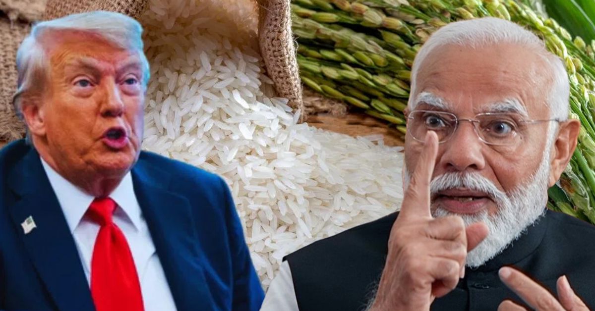 भारत पर चावल डंपिंग का ट्रंप का आरोप, टैरिफ बढ़ाने की चेतावनी से बढ़ा व्यापारिक तनाव