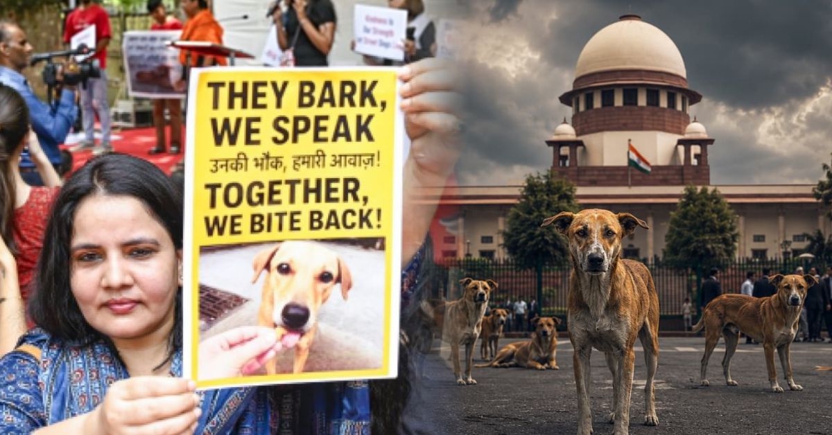 आवारा कुत्तों को हटाने पर सुप्रीम कोर्ट के आदेश के खिलाफ विरोध, पशु अधिकार कार्यकर्ताओं ने उठाए सवाल